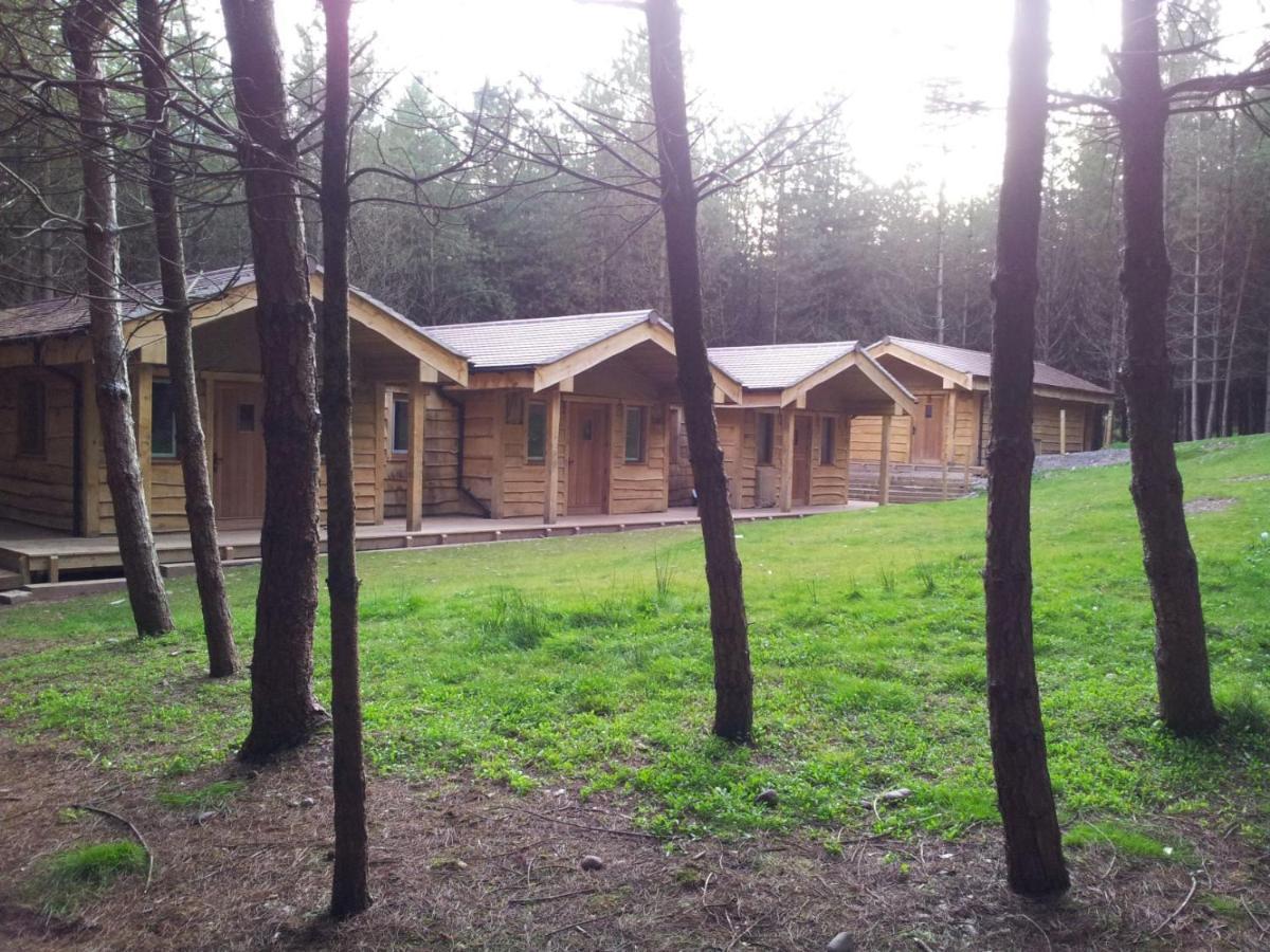 Wyldwood Lodge 基德尔 外观 照片